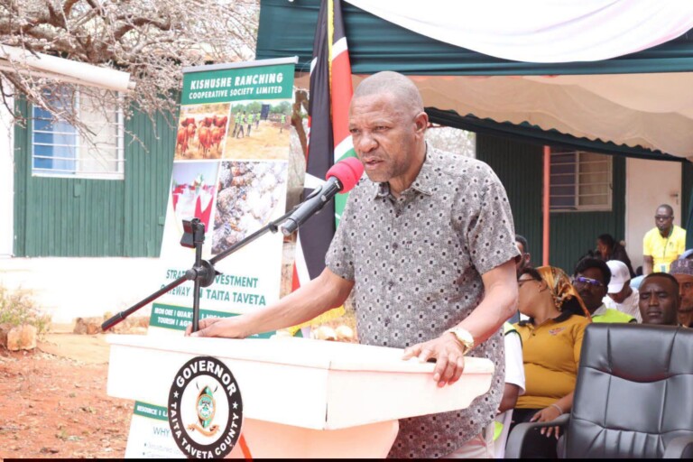 Economic boost for Taita Taveta: Kishushe mining operations resume after standoff resolution