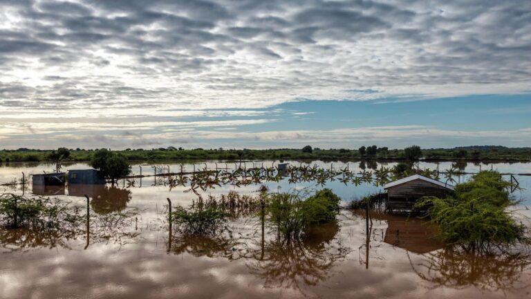 Garissa farmers petition county assembly over floods and poor agricultural support