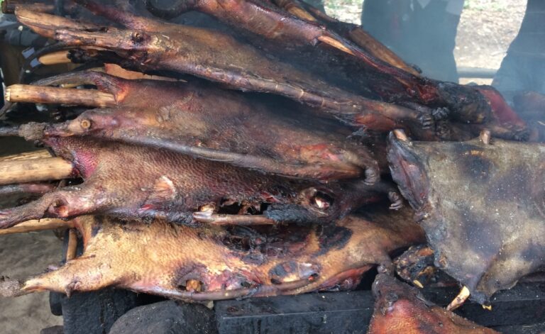 Taita-Taveta residents warned against bushmeat consumption over health risks