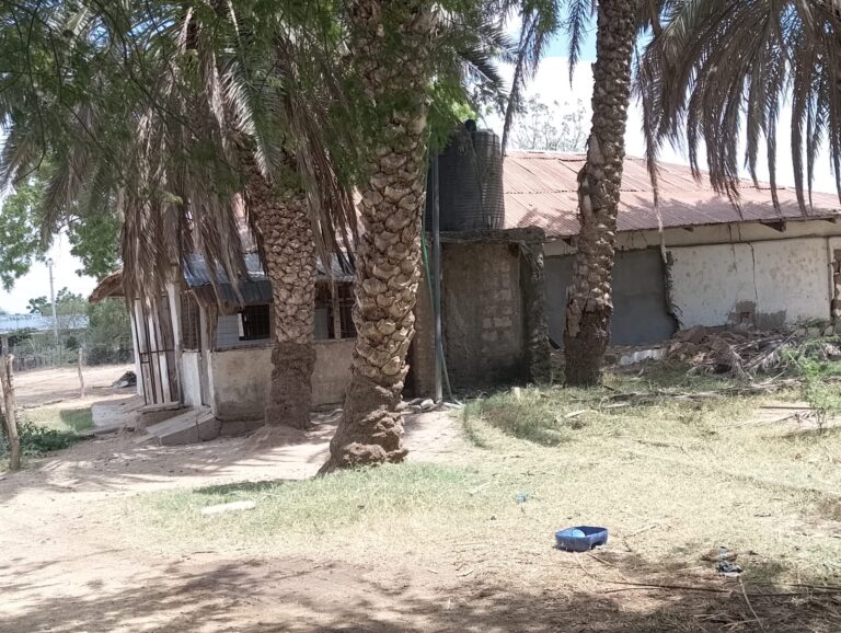 Hola meat traders count losses after closure of local slaughterhouse