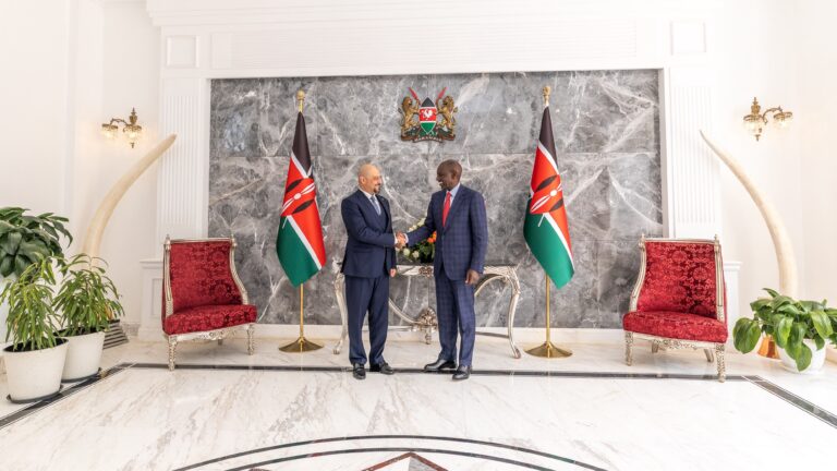 Strengthening diplomacy: President Ruto bids farewell to outgoing Cyprus high commissioner