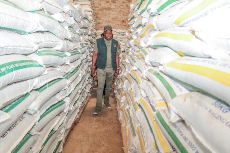 Kenya prepares to import 25 million bags of maize to avert food shortage
