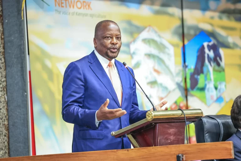 Kagwe: Kenya cannot rely on rainfall alone to feed a growing population