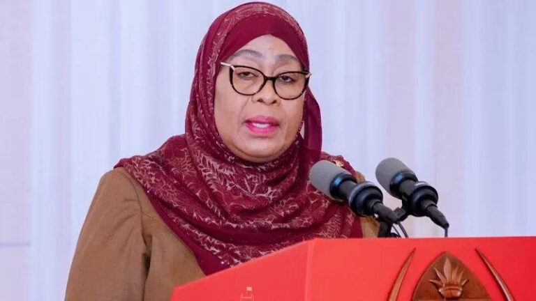 Private sector to drive 70% of Tanzania’s vision 2050, president Samia says
