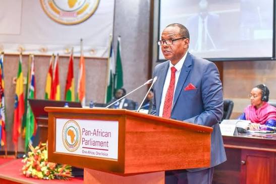 Hon. Sen. Dr. Mungatana urges continental action to end violence against women