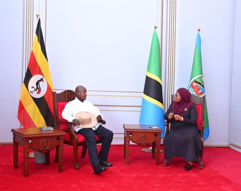 Tanzania, Uganda sign deal to develop Tanga into regional energy hub