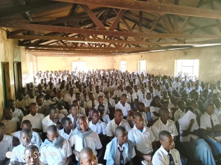 MPs move to cap senior school streams as C1 institutions face growing ressure