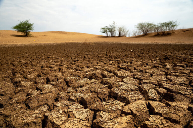 El Niño threatens to worsen food insecurity as millions face hunger risk