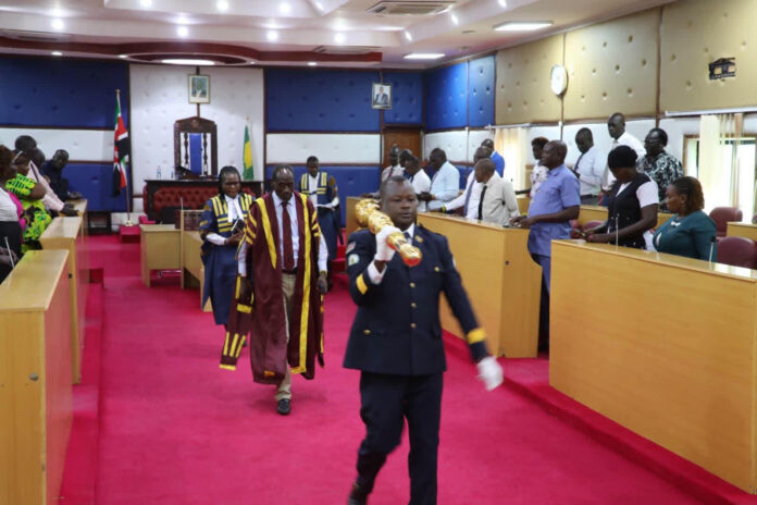 Turkana Assembly